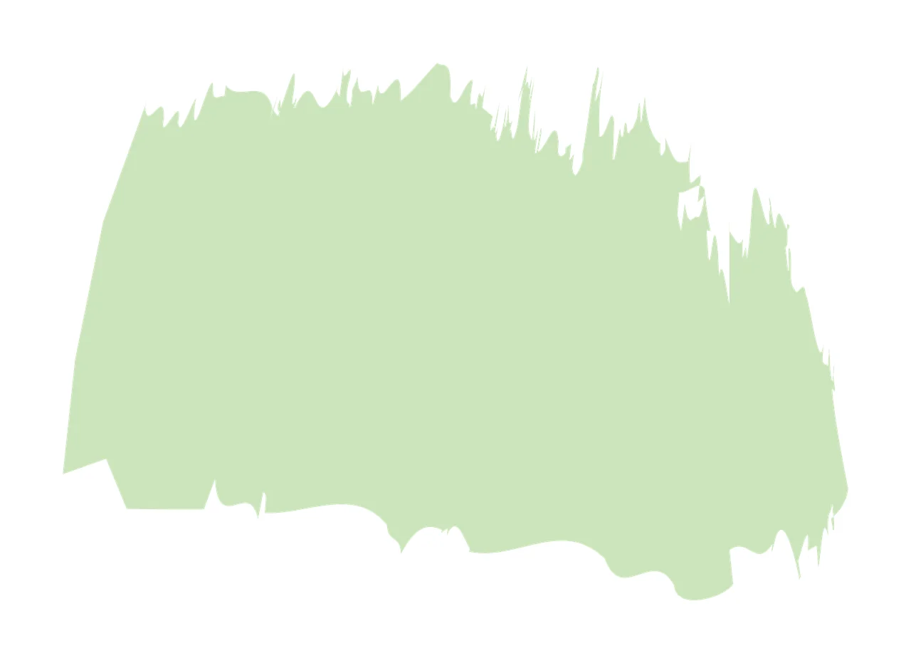 Paint brush stroke Illustration with paint swatch, texture and jagged edges in light green, sage green and white