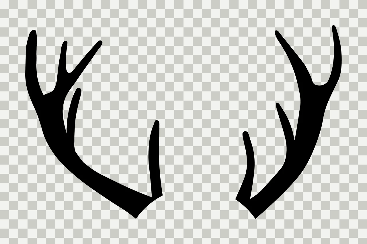 Can Glass Wrap Deer Antlers Black Silhouette transparency and detail preview thumbnail