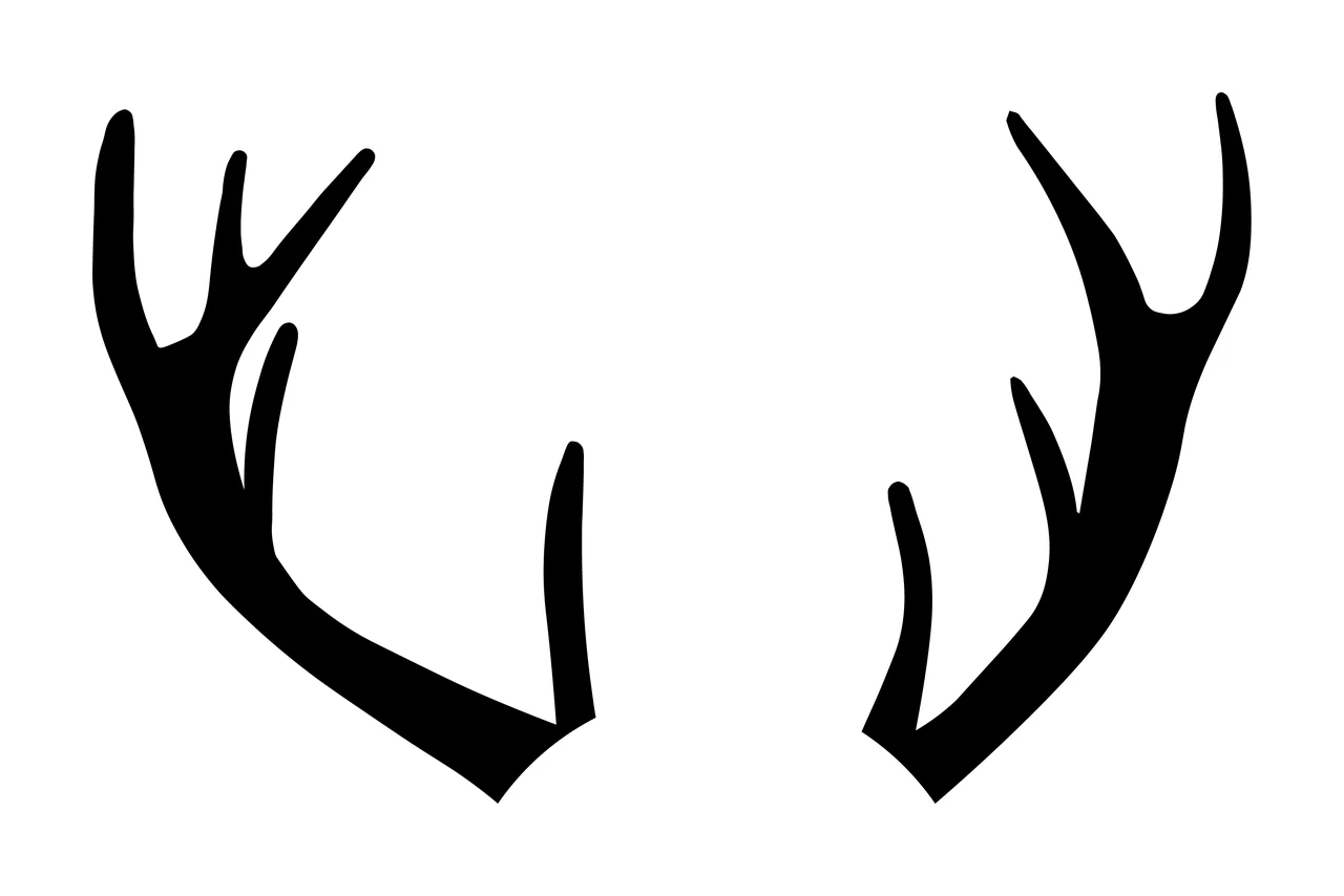 Can Glass Wrap Deer Antlers Black Silhouette