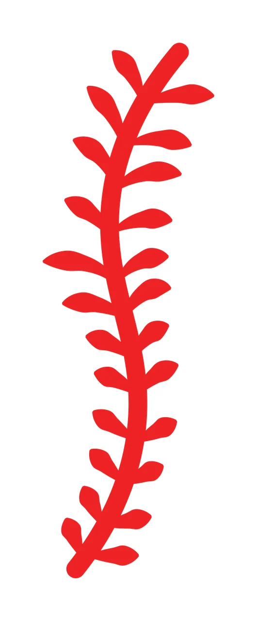 Curved Vertical Stem With Symmetrical Leaves In Black plant