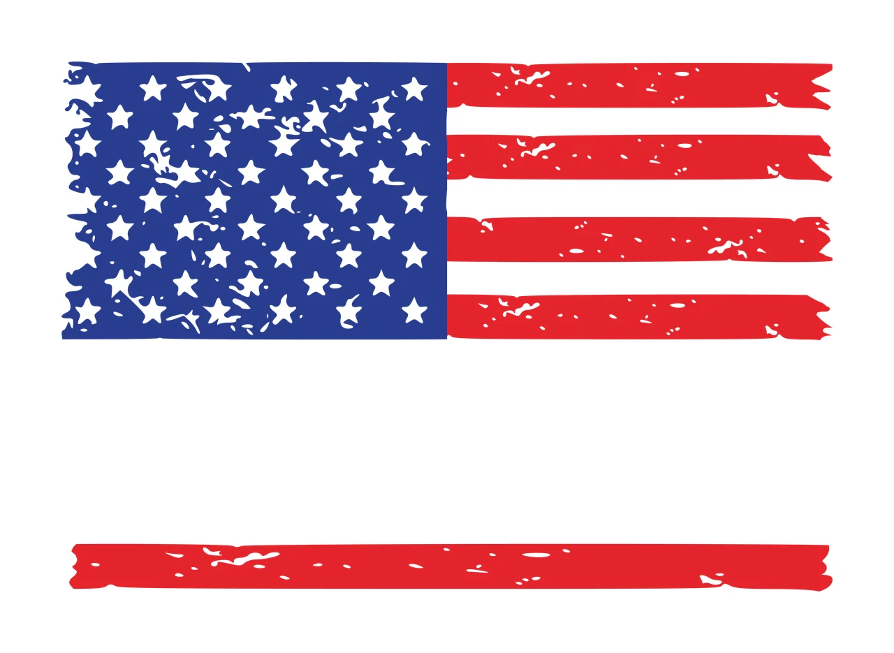 Flag Distressed Graphic With A Single Black Horizontal displaying