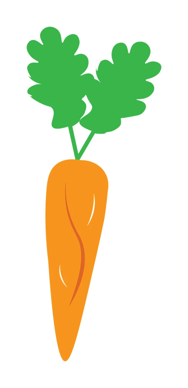 Carrot Illustration with orange taproot, green leafy top, stem and white highlights