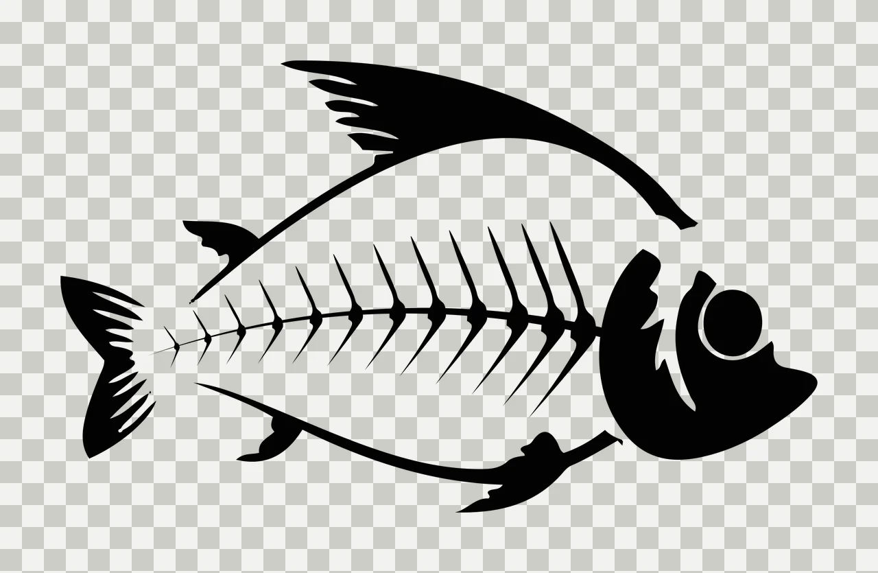 Bones Black Silhouette Of A Fish Showing Internal outline spine transparency and detail preview thumbnail