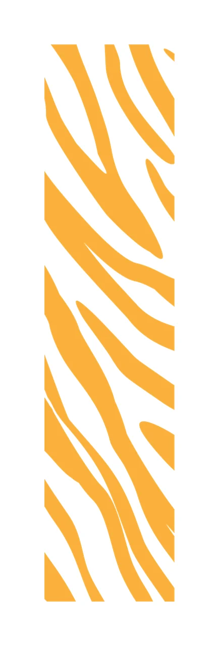 Tiger print pattern strip Illustration with tiger stripes, wavy lines, animal pattern and vertical strip in orange and white