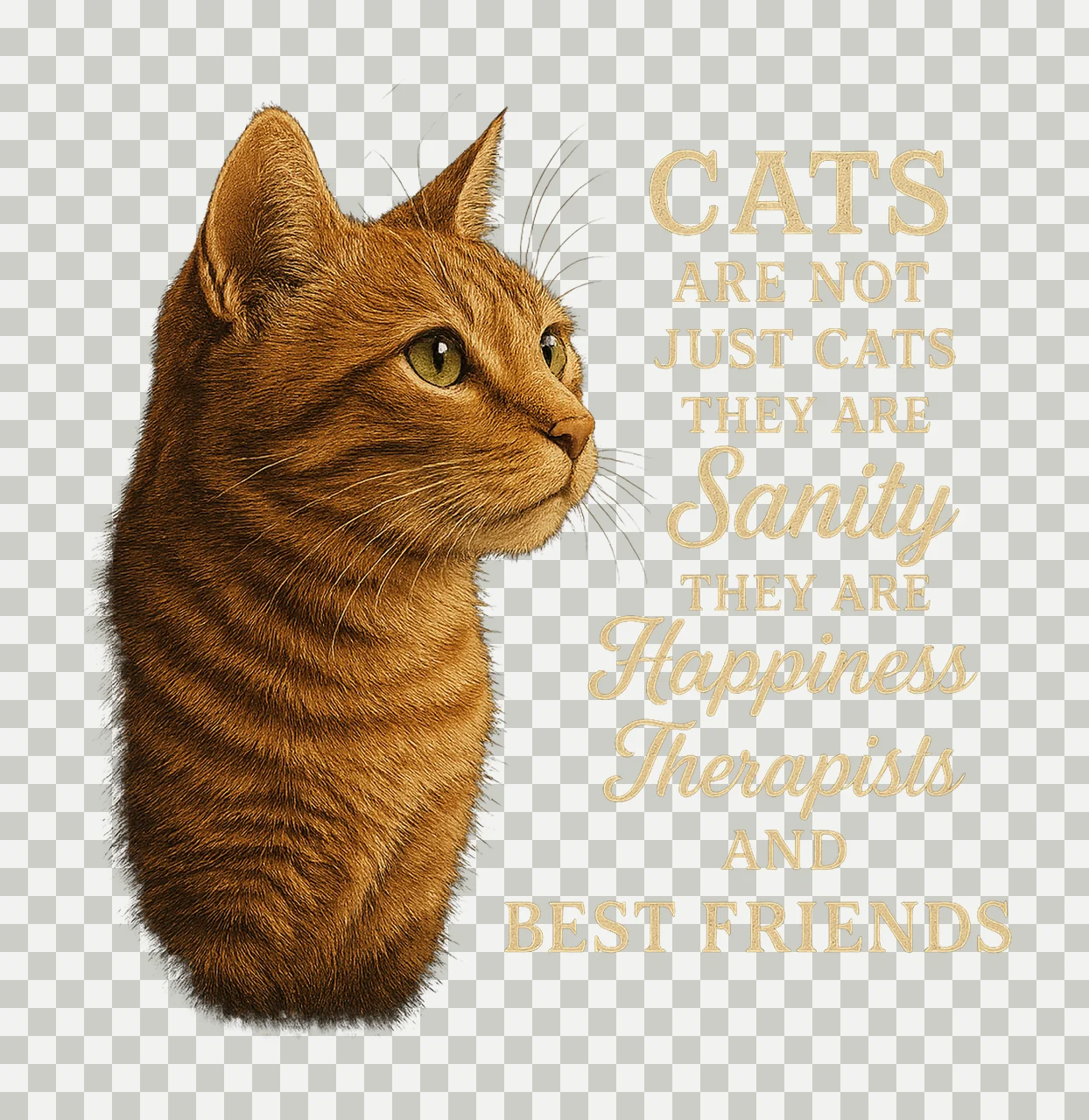 Cats Are Not Just Cats Inspirational Cat Lover Design Pet transparency and detail preview thumbnail