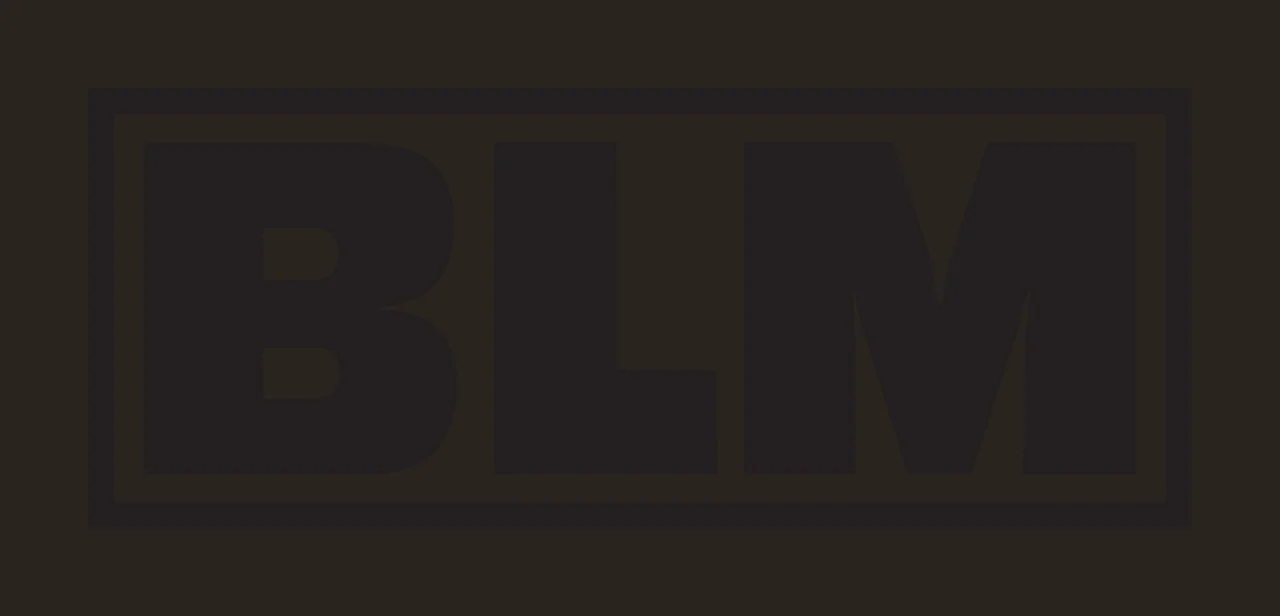 BLM Typography Design with BLM acronym text, bold sans-serif font, rectangular border frame and white canvas in black contrast preview thumbnail