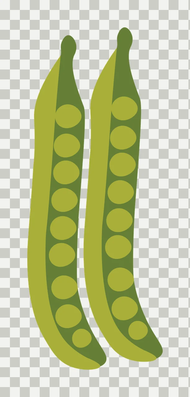 Pea pods Illustration with peas, seeds and shells in light green, olive green and dark green transparency and detail preview thumbnail