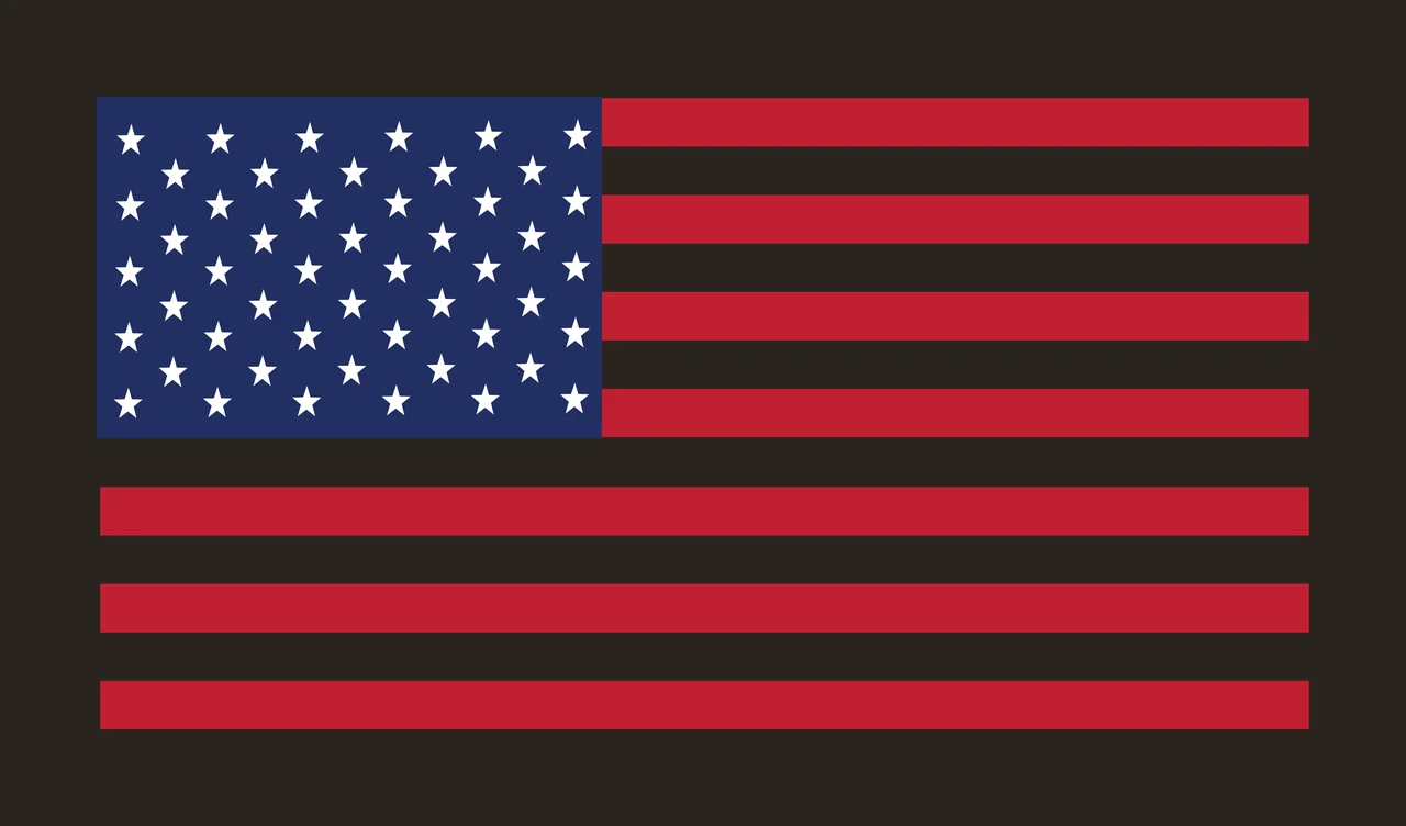 Flag Black Silhouette Of American Without Visible Star rectangle contrast preview thumbnail