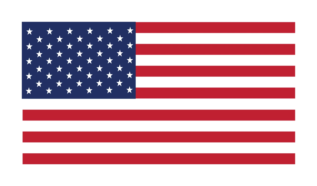 Flag Black Silhouette Of American Without Visible Star rectangle