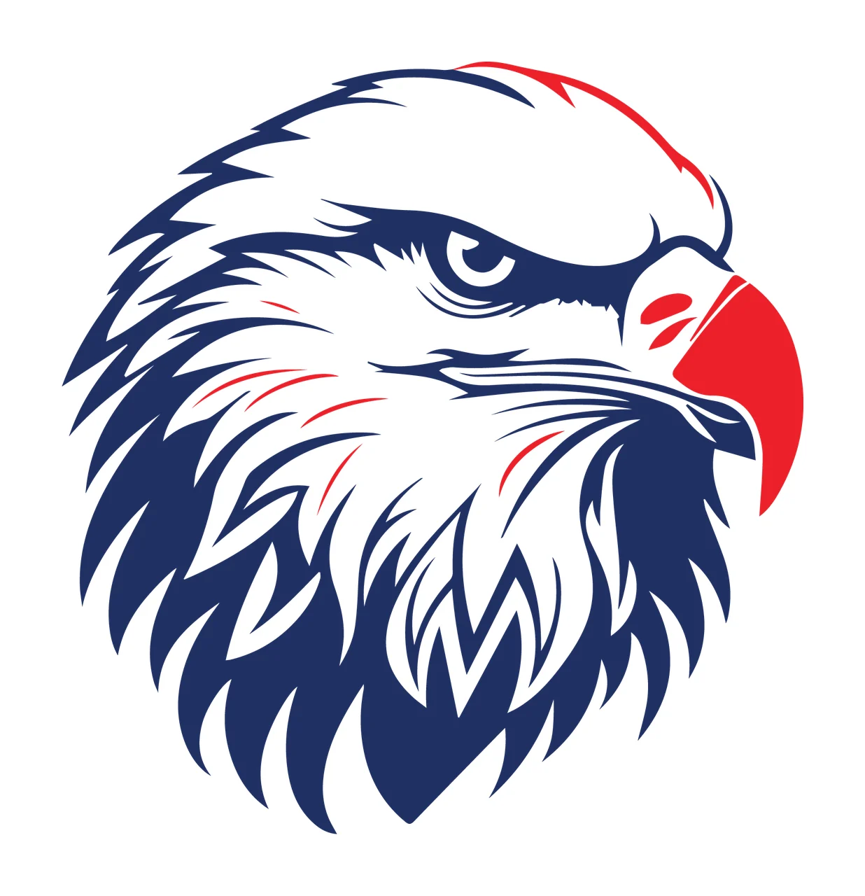 Eagle Head Profile Black White Graphic eye beak feathers bird