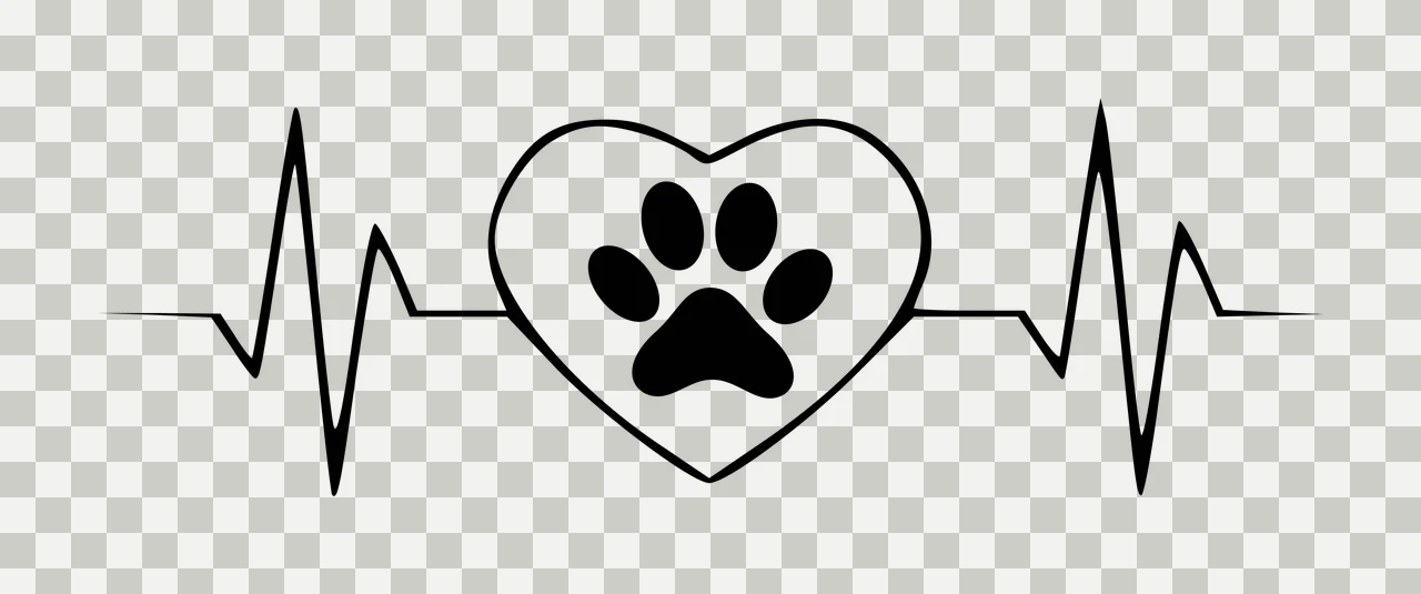 Heart-shaped paw print on heartbeat line Illustration with black heartbeat line, white heart outline and black paw print inside heart transparency and detail preview thumbnail