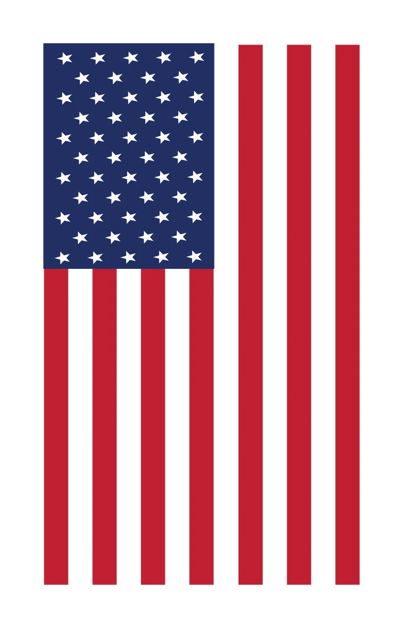 Flag Minimalist Black And White Icon With Vertical stripes