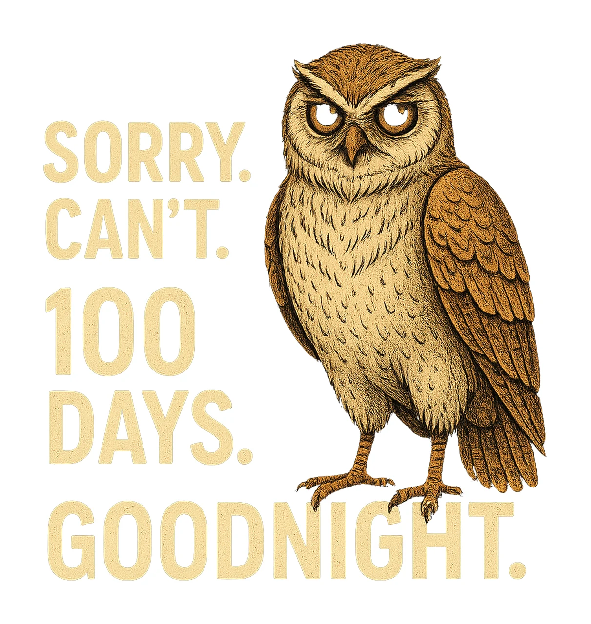 Funny Owl Gamer Sorry Can 99 Nights Bye Cute Introvert