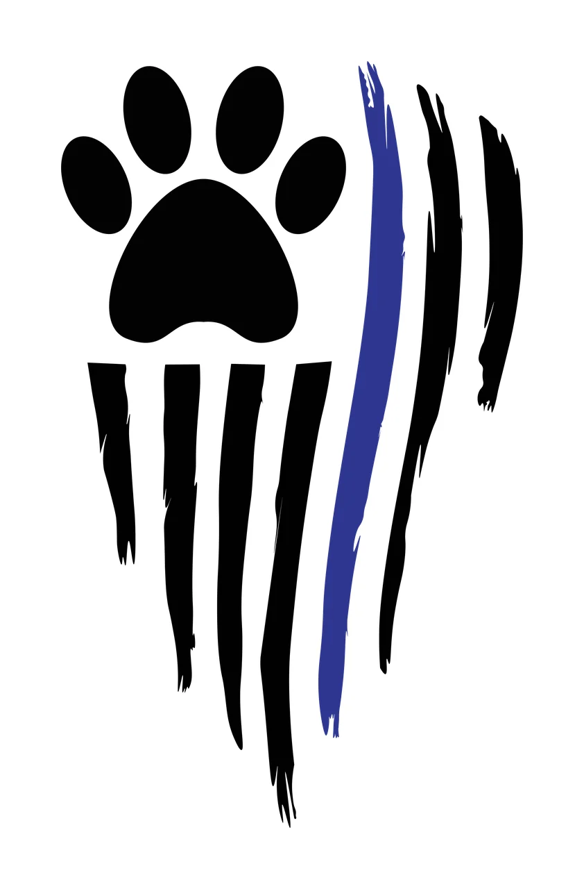 Keychain Distressed Paw Print Vertical Stripe Flag patterned