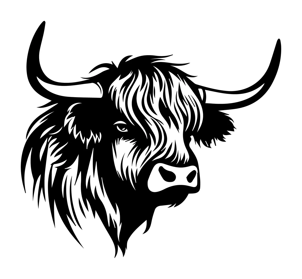 Highland Cattle Bull Head Profile viewing horns hair ears muzzle
