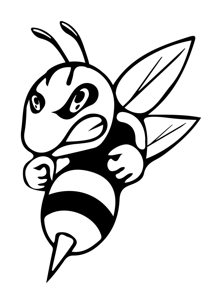 Bee Wasp Flying With Insect And Wings