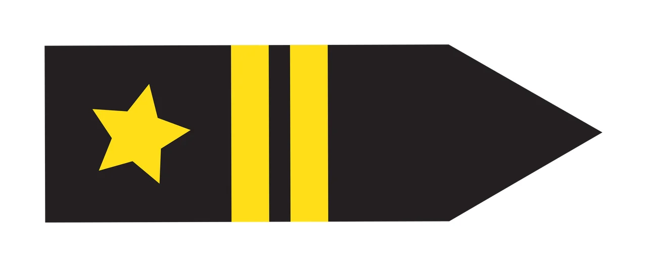 Black Horizontal Pointer Arrow Pointing Toward The Right geometric
