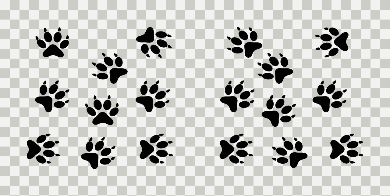 Paw Can Glass Wrap Animal Prints Pattern Design repeating pads transparency and detail preview thumbnail
