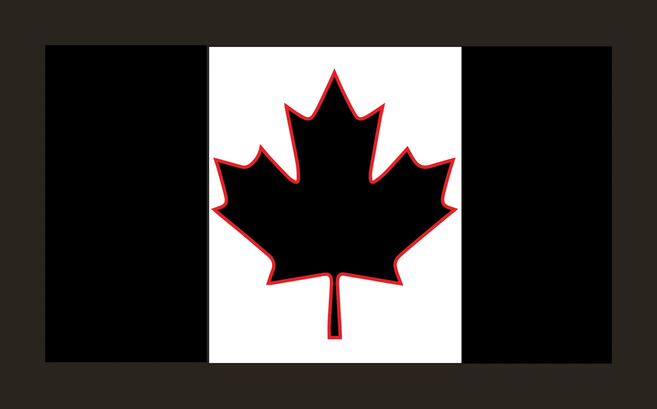 Rectangular Flag With Maple Leaf Center simple icon black Variation 2 contrast preview thumbnail