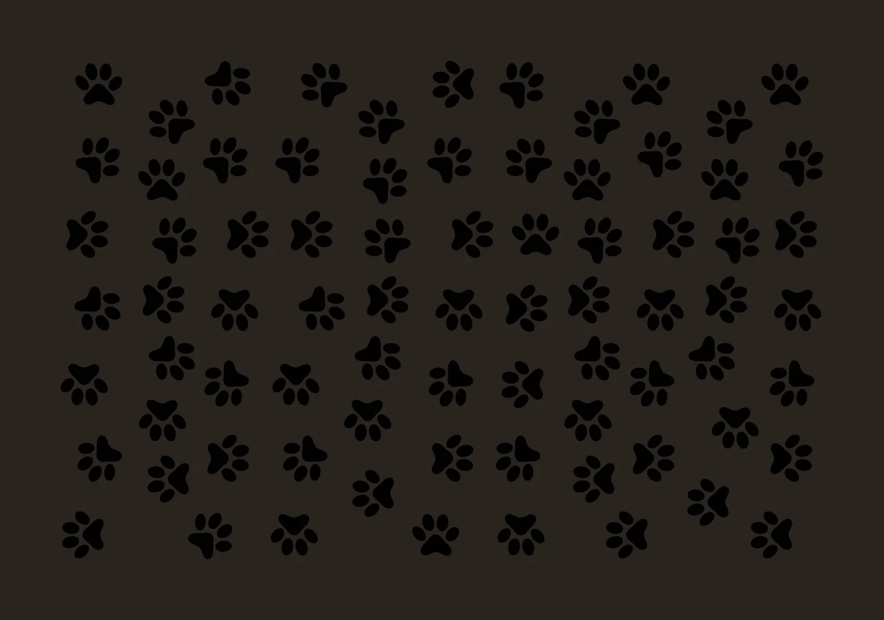 Paw prints Illustration with black paw prints, pattern, animal tracks and black and white contrast preview thumbnail
