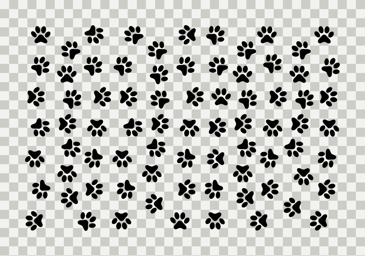 Paw prints Illustration with black paw prints, pattern, animal tracks and black and white transparency and detail preview thumbnail