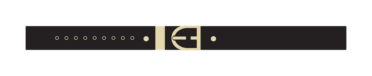 Solid Black Horizontal Bar With A Central Rectangular belt