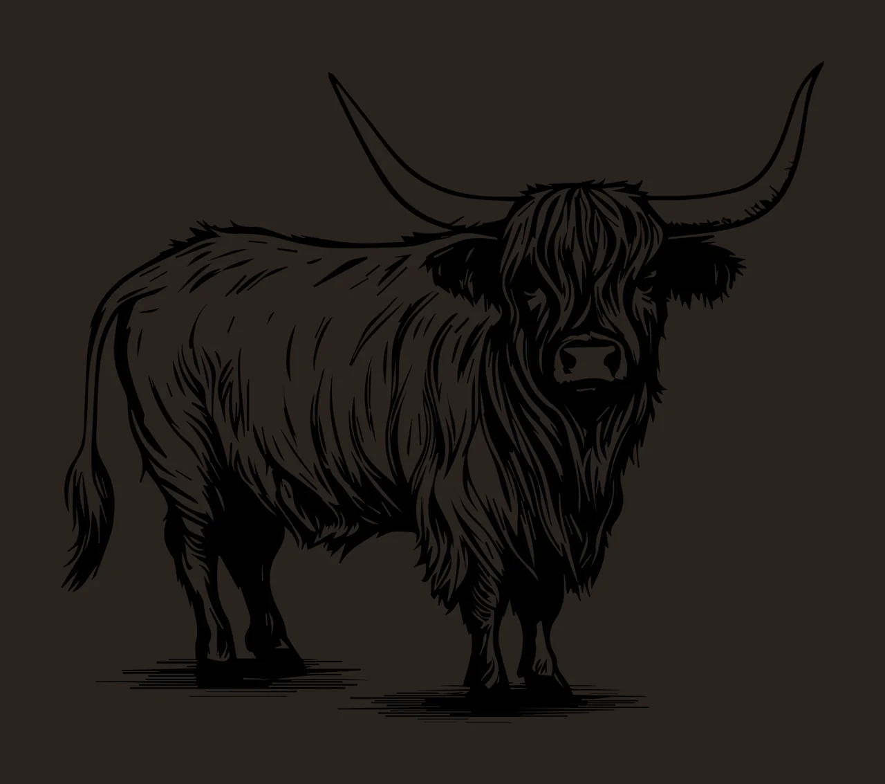 Highland Cow Cattle With Long Horns standing hair hooves tail contrast preview thumbnail