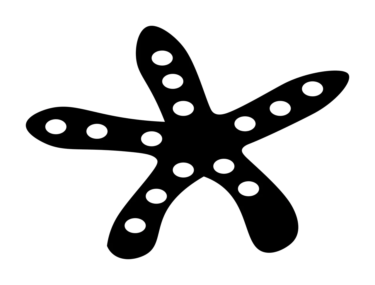 Sea Spotted Starfish Silhouette With Five Arms dots graphic