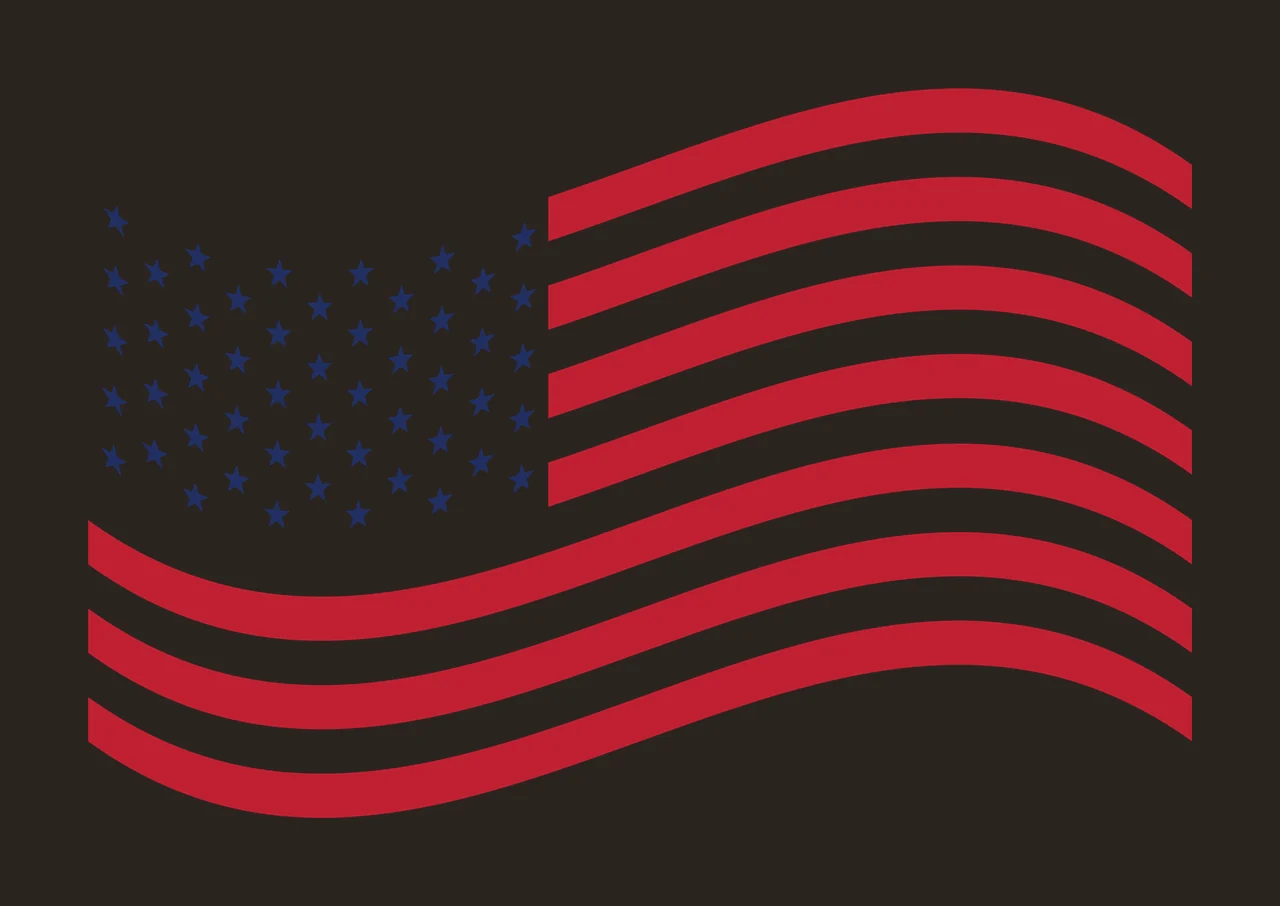 Flag Horizontal Wavy Silhouette waving stars stripes black contrast preview thumbnail