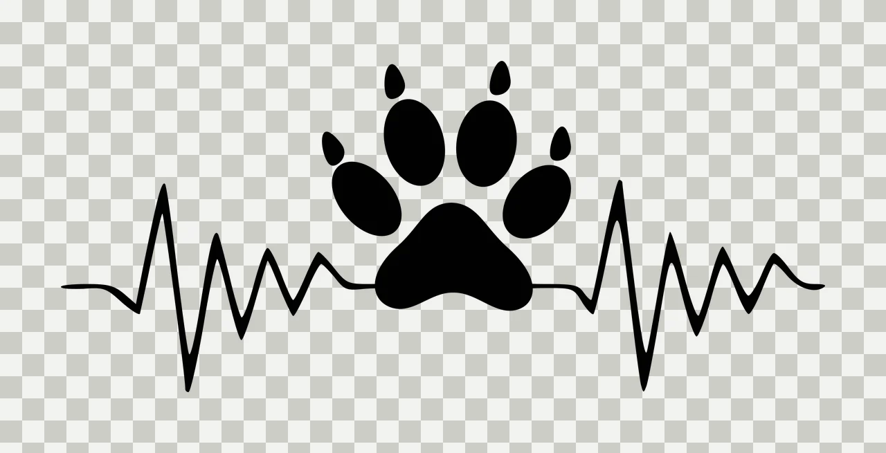 Silhouette Design of Paw print on heartbeat line with black paw print and five pads transparency and detail preview thumbnail
