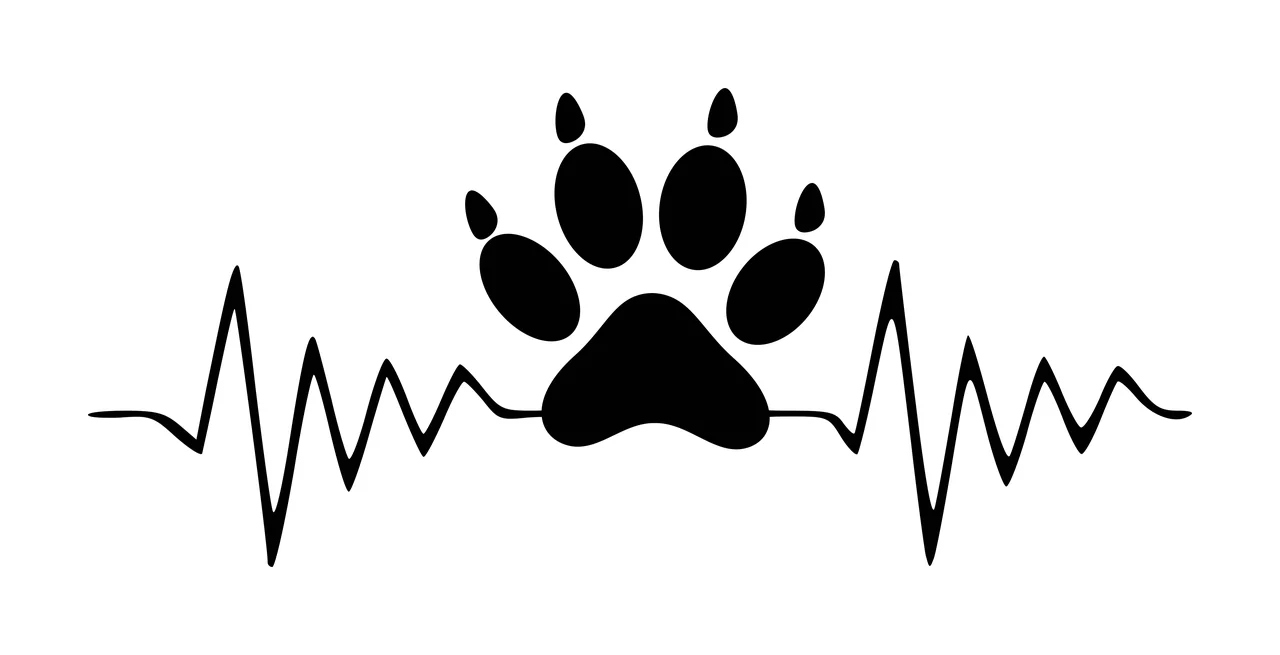 Silhouette Design of Paw print on heartbeat line with black paw print and five pads
