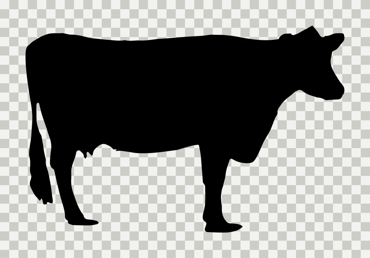 Can Glass Wrap Cow Standing With Animal transparency and detail preview thumbnail