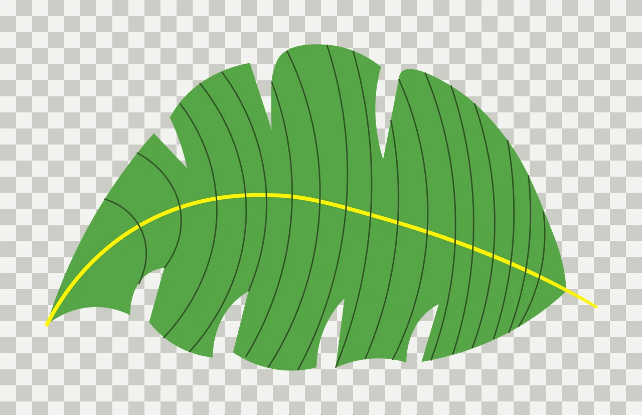 Single Solid Black Silhouette Of A Large Tropical leaf veins transparency and detail preview thumbnail