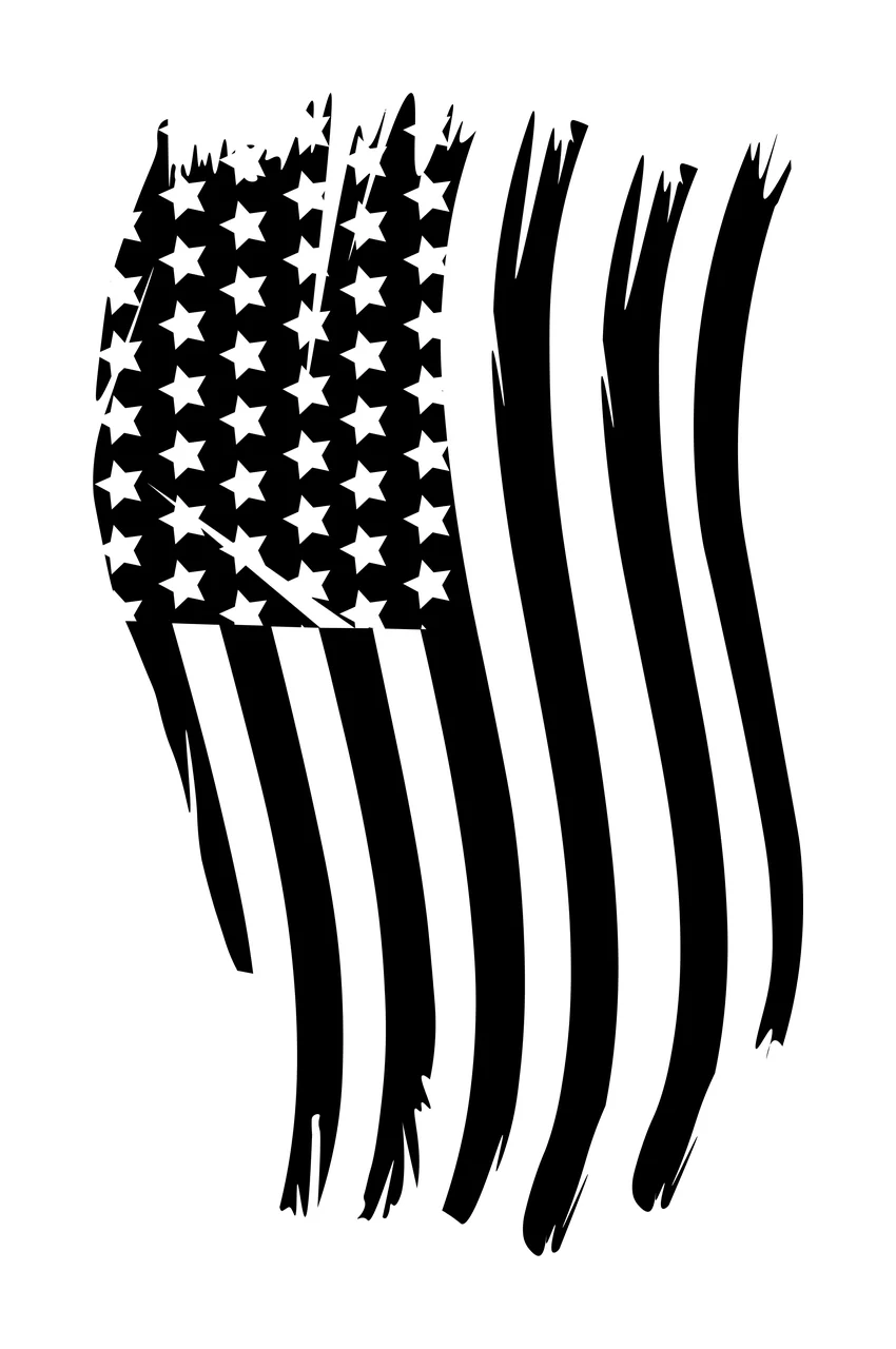 Black Flag Vertical American With Brush Stripes stars white