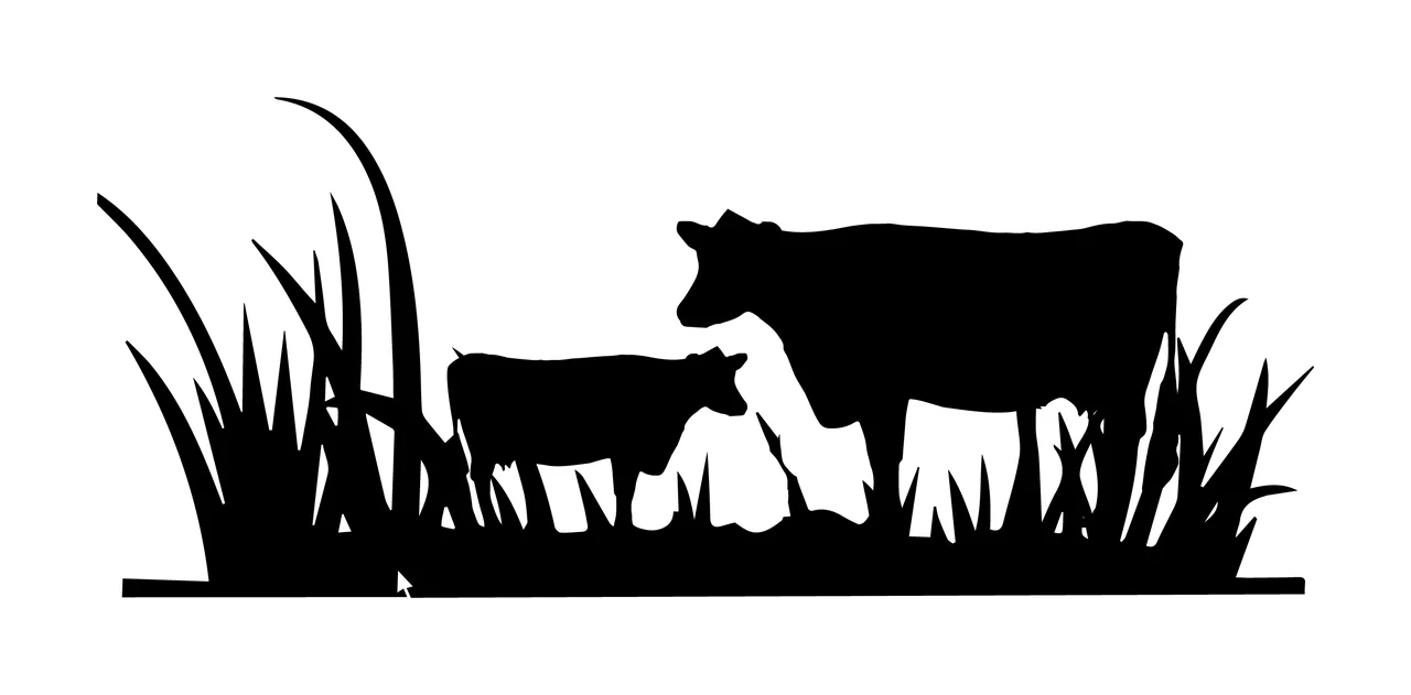 Cows Standing In Grassy Field Silhouette grass black white