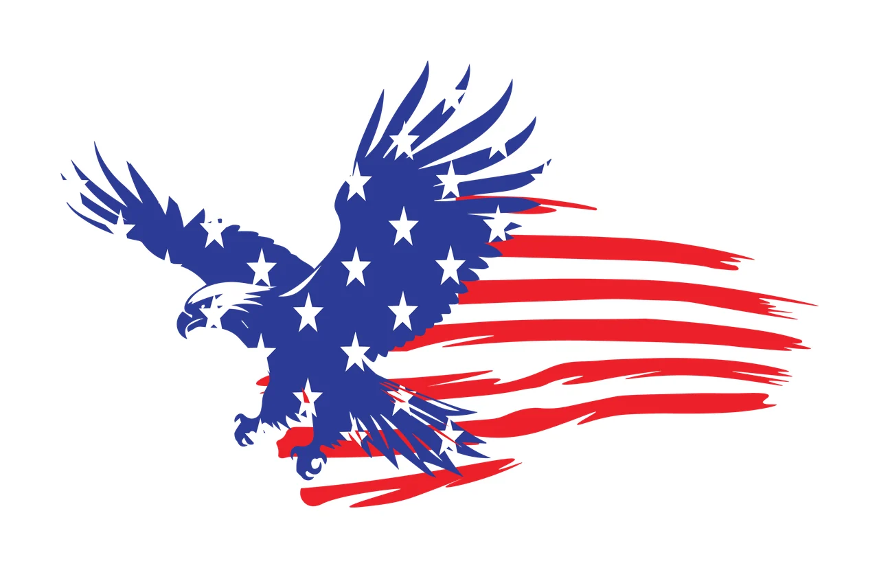 Eagle A Flag Flying With Feathers stars stripes distressed silhouette