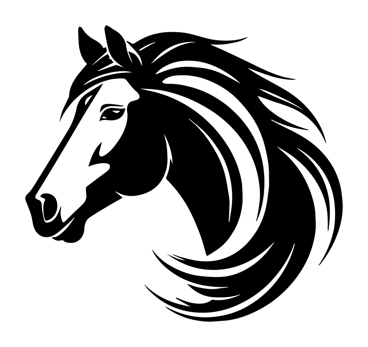 Horse Head Viewing With Equine And Profile