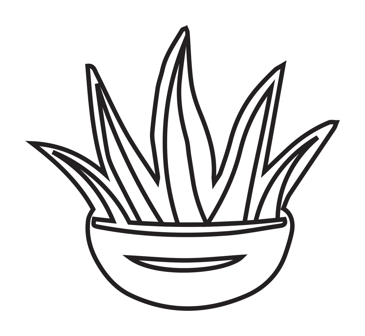 Potted succulent plant Illustration with pointed leaves, bowl-shaped pot and line art in black and white