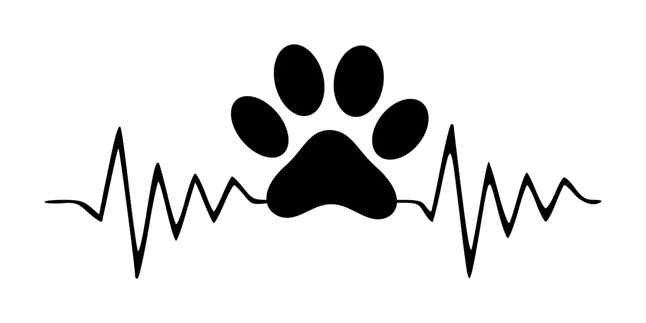 Silhouette Design of Paw print integrated with heartbeat line with black paw print, heart rate line, four toe pads and central pad in white