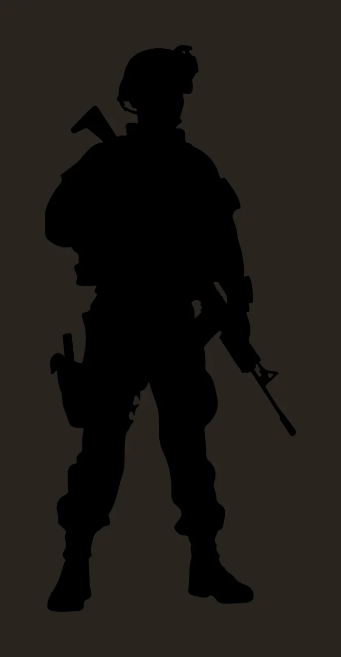 Silhouette Of An Armed Individual In Tactical Gear standing contrast preview thumbnail