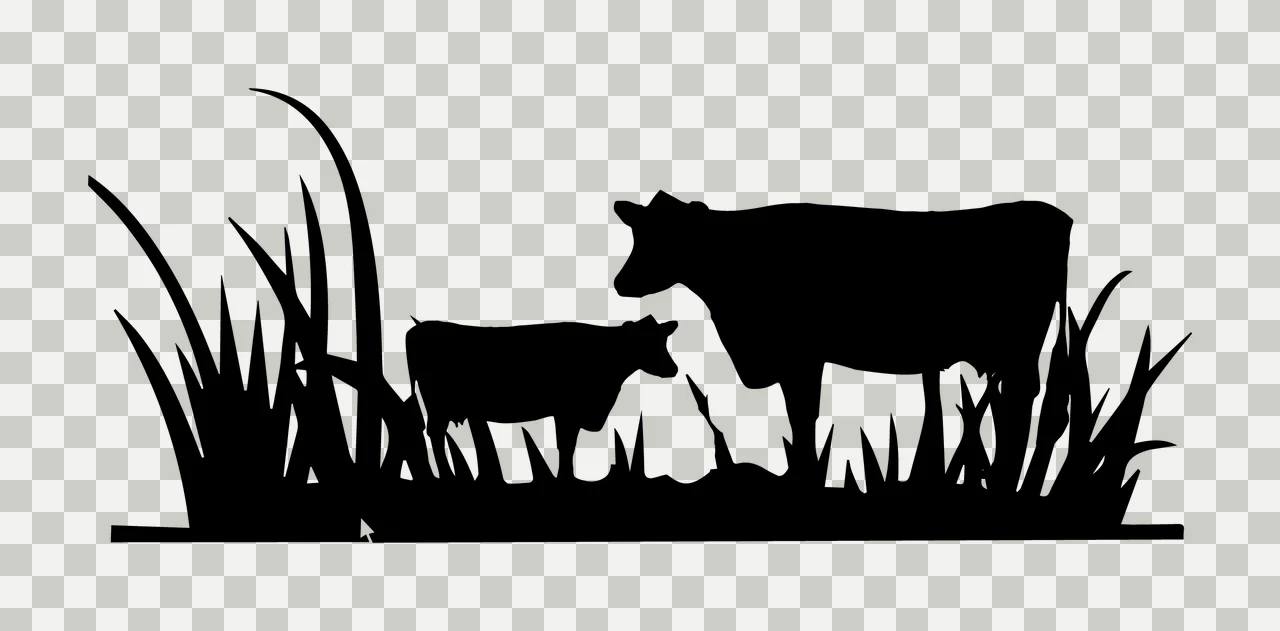 Can Glass Wrap Cows In Tall Grass Silhouette transparency and detail preview thumbnail