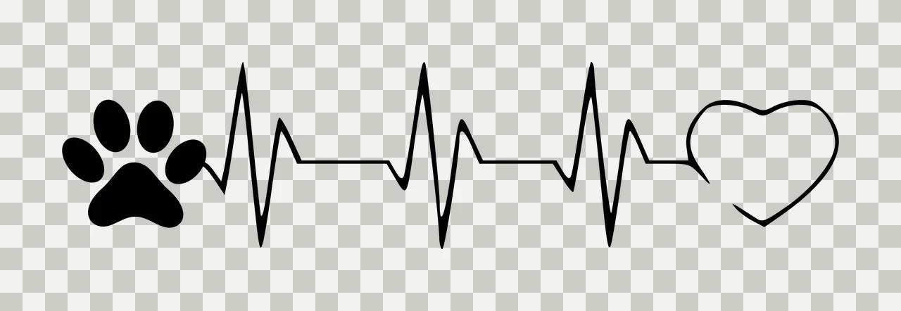 Paw print with heartbeat line leading to heart outline Illustration with black paw print transparency and detail preview thumbnail