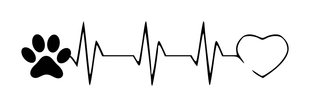 Paw print with heartbeat line leading to heart outline Illustration with black paw print