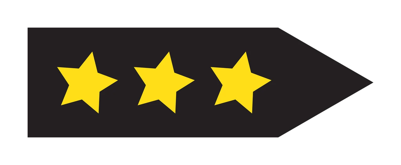Black Horizontal Arrow Shape Pointing Towards The Right rectangle