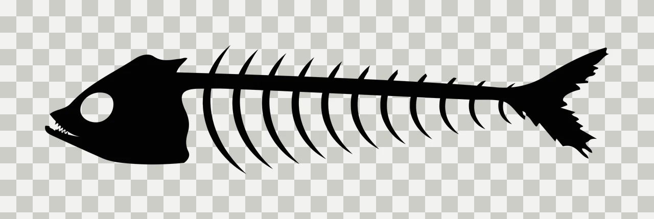 Bones Side View Silhouette Of A Fish Skeleton black white nature transparency and detail preview thumbnail