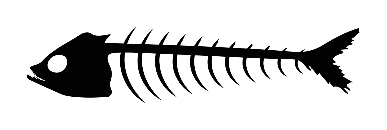 Bones Side View Silhouette Of A Fish Skeleton black white nature