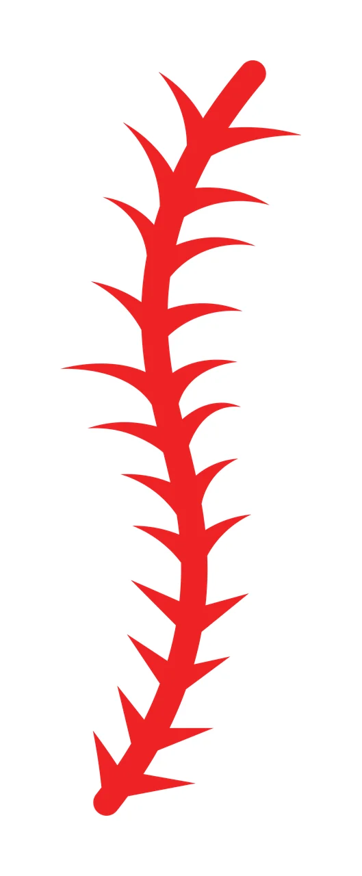 Curved Black Spine Bone Structure With Pointed Protrusions minimalist