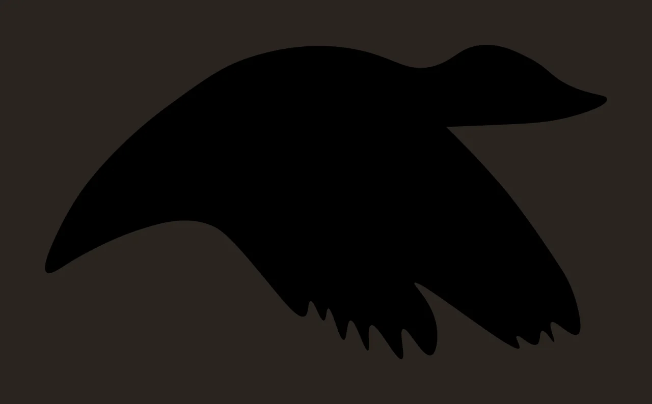 Black Bird In Flight Silhouette flying wing plain animal contrast preview thumbnail