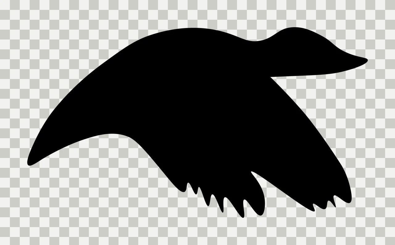 Black Bird In Flight Silhouette flying wing plain animal transparency and detail preview thumbnail