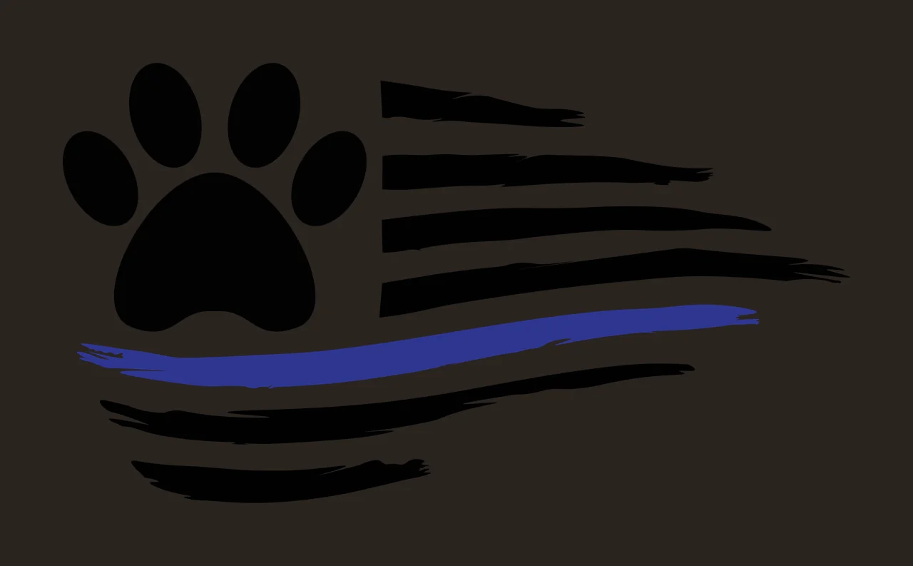 Keychain Paw Print And Distressed Flag Graphic illustration contrast preview thumbnail